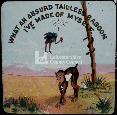 Tall Tails - 