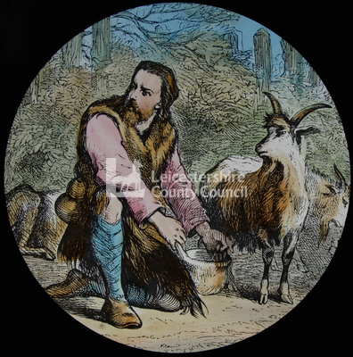 Robinson Crusoe milking a goat	