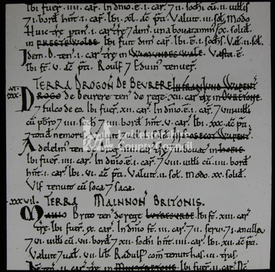Page of Domesday Book 	