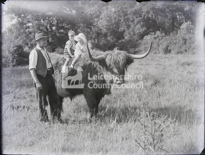 Two children riding highland cow, with older man supervising