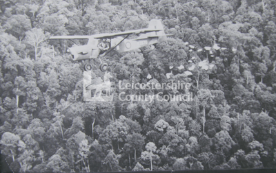 Auster aircraft in flight over tree canopy