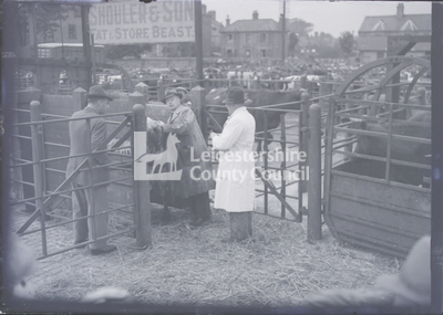 Cattle market with sign for 
