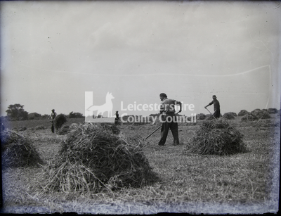 Four men piling hay