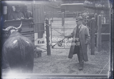 Leicester cattle market - livestock sales