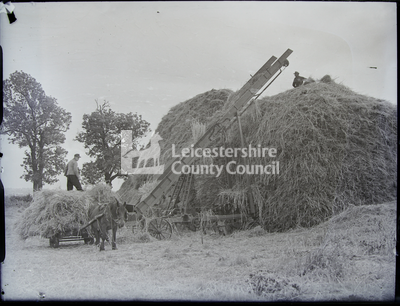 Hay being loaded onto cart with elevator; two male POWs and a horse