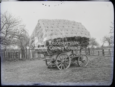 Stalks with thatch on top, stacked on a wagon
