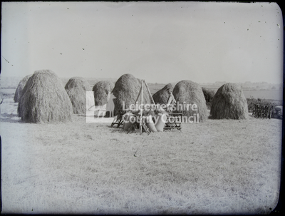 Boy working with hay stack