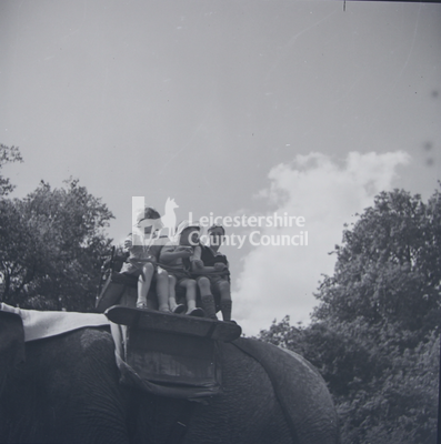 Whipsanade Zoo	- Elephant ride