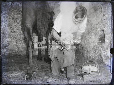 Blacksmith Shoeing A Horse