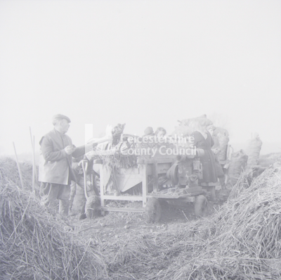 Farm workers among haystacks