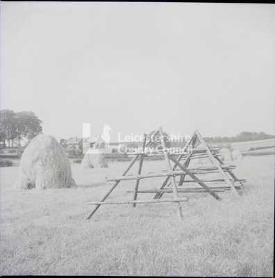 Two timber frames for haycocks in field