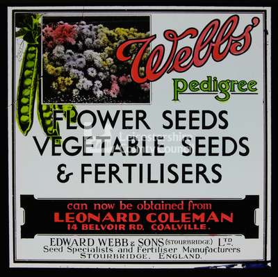 LS472 - Webb's Pedigree Seeds