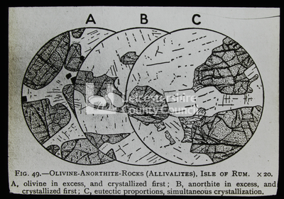 LS1813 - Geology, Olvine-Anorthite Rocks